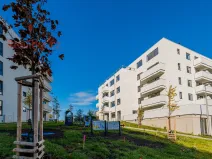 Prodej bytu 2+kk, Kladno, Lesík, 56 m2