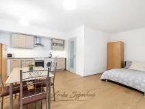 Prodej bytu 1+kk, Pardubice - Zelené Předměstí, Hronovická, 45 m2