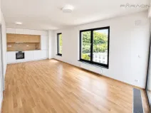 Pronájem bytu 2+kk, Praha - Karlín, Švarcova, 55 m2