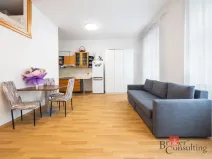 Prodej bytu 1+kk, Praha - Žižkov, Rokycanova, 30 m2