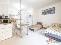 Prodej bytu 1+kk, Praha - Žižkov, Rokycanova, 35 m2