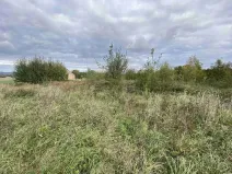 Prodej pozemku, Javorník - Horní Hoštice, 1651 m2