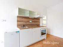 Pronájem bytu 1+kk, Praha - Žižkov, Pod lipami, 20 m2