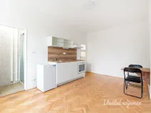 Pronájem bytu 1+kk, Praha - Žižkov, Pod lipami, 20 m2