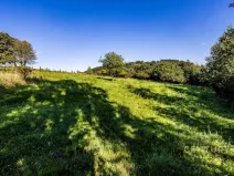 Prodej pozemku pro bydlení, Dolní Poustevna, 5065 m2