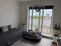 Pronájem bytu 3+kk, Olomouc, Wolkerova, 63 m2