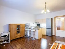 Pronájem bytu 1+kk, Praha - Žižkov, Viklefova, 38 m2
