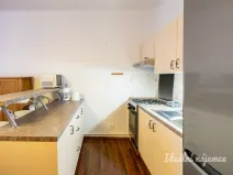 Pronájem bytu 1+kk, Praha - Žižkov, Viklefova, 38 m2