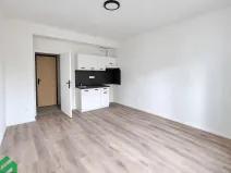 Pronájem bytu 1+kk, Praha - Libeň, Na Truhlářce, 28 m2
