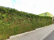 Prodej rodinného domu, Kozolupy, 180 m2