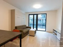Pronájem bytu 1+kk, Praha - Žižkov, Hartigova, 36 m2