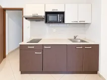 Prodej bytu 1+kk, Brno, Svitavská, 29 m2