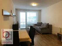 Pronájem bytu 1+kk, České Budějovice, Krčínova, 38 m2