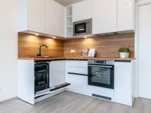 Pronájem bytu 1+kk, Brno, Opuštěná, 29 m2