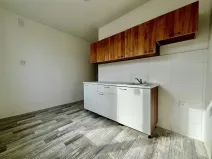 Pronájem bytu 1+1, Jirkov, Ervěnická, 35 m2