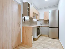 Pronájem bytu 2+kk, Chomutov, Holešická, 42 m2