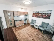 Pronájem bytu 1+kk, Most, U Věžových domů, 21 m2