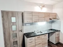 Pronájem bytu 1+kk, Most, U Věžových domů, 21 m2