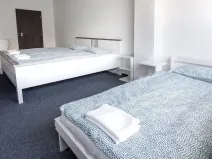 Prodej ubytování, Most, Pod Širokým vrchem, 312 m2