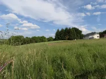 Prodej pozemku pro bydlení, Zbizuby, 1000 m2