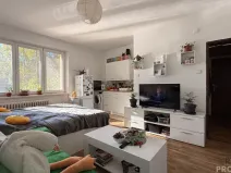 Prodej bytu 1+kk, Havířov, Karolíny Světlé, 22 m2