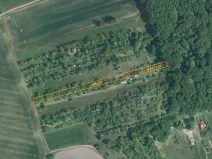 Dražba louky, Kostelec u Holešova, 2660 m2