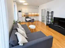 Prodej bytu 2+kk, Praha - Karlín, Nekvasilova, 48 m2