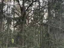 Prodej rybníku, Vráž, 3145 m2