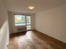 Prodej bytu 1+1, Sokolov, Švabinského, 49 m2