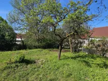 Prodej komerčního pozemku, Popice, 345 m2