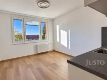 Pronájem bytu 1+kk, Písek - Budějovické Předměstí, Harantova, 20 m2