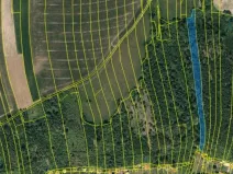 Prodej lesa, Hradec nad Moravicí, 9624 m2