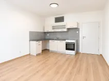 Prodej bytu 1+kk, Brno, Došlíkova, 53 m2