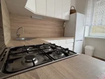 Pronájem bytu 1+1, Ostrava - Poruba, Hlavní třída, 43 m2