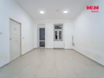 Pronájem obchodního prostoru, Plzeň - Jižní Předměstí, Tylova, 36 m2