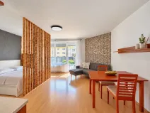 Pronájem bytu 1+kk, Brno, Bělohorská, 41 m2