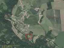 Prodej lesa, Prostějovičky, 1251 m2