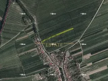 Prodej pole, Hrubá Vrbka, 2030 m2