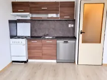 Pronájem bytu 1+1, Děčín - Děčín I-Děčín, Labská, 37 m2
