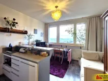 Prodej bytu 1+kk, Brno - Lesná, 23 m2
