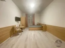 Pronájem bytu 1+kk, Praha - Smíchov, Plzeňská, 25 m2