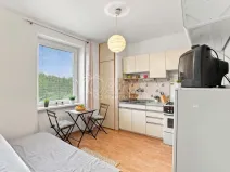 Prodej bytu 1+1, Plzeň - Lobzy, Nad Úslavou, 35 m2