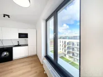 Pronájem bytu 1+kk, Plzeň - Jižní Předměstí, Železná, 27 m2