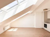 Pronájem bytu 3+kk, Praha - Bubeneč, Na výšinách, 98 m2