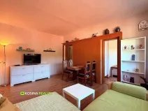 Pronájem bytu 1+1, Kraslice, Čs. armády, 37 m2