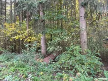 Prodej lesa, Štěchovice, 2074 m2