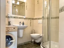 Pronájem bytu 1+kk, Plzeň - Severní Předměstí, Luční, 27 m2