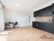 Pronájem bytu 1+kk, Heřmanova Huť - Vlkýš, U Pondu, 35 m2