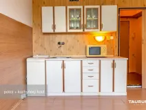 Prodej bytu 1+kk, Plzeň - Doudlevce, Luďka Pika, 20 m2