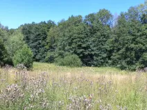 Prodej pole, Mařenice, 19744 m2
